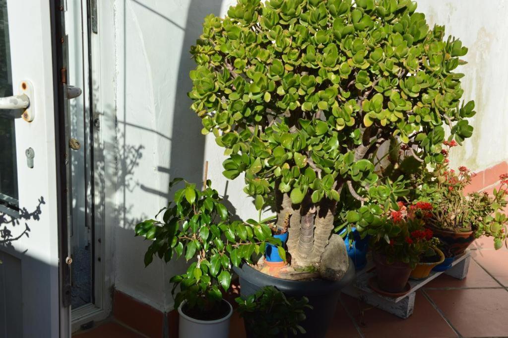 B&B Spiraglio Siraküza Dış mekan fotoğraf